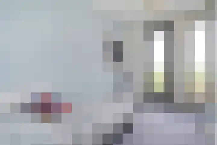 Oldeneelallee 88 Zwolle thumbnail 31