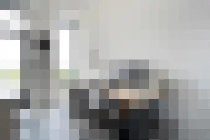 Oldeneelallee 88 Zwolle thumbnail 33