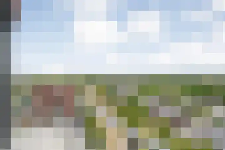 Oldeneelallee 88 Zwolle thumbnail 37