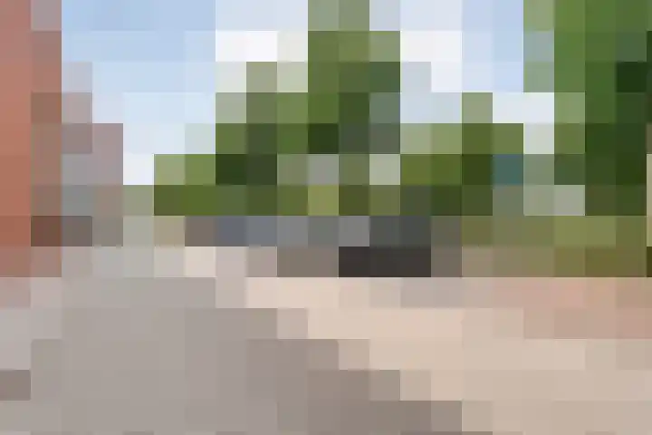 Oldeneelallee 88 Zwolle thumbnail 41