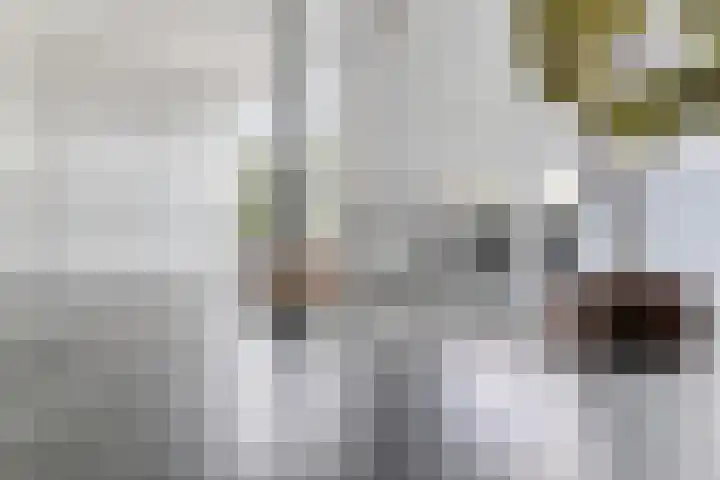 Oldeneelallee 88 Zwolle thumbnail 5
