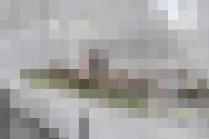 Oldeneelallee 88 Zwolle thumbnail 6