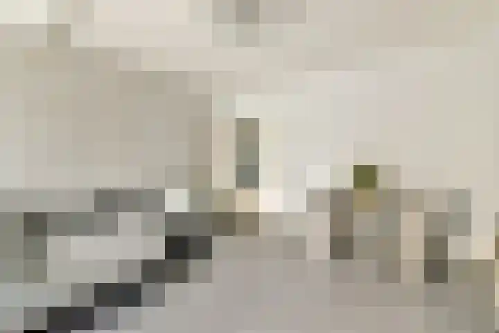 Oldengaarde 130 Amsterdam thumbnail 5