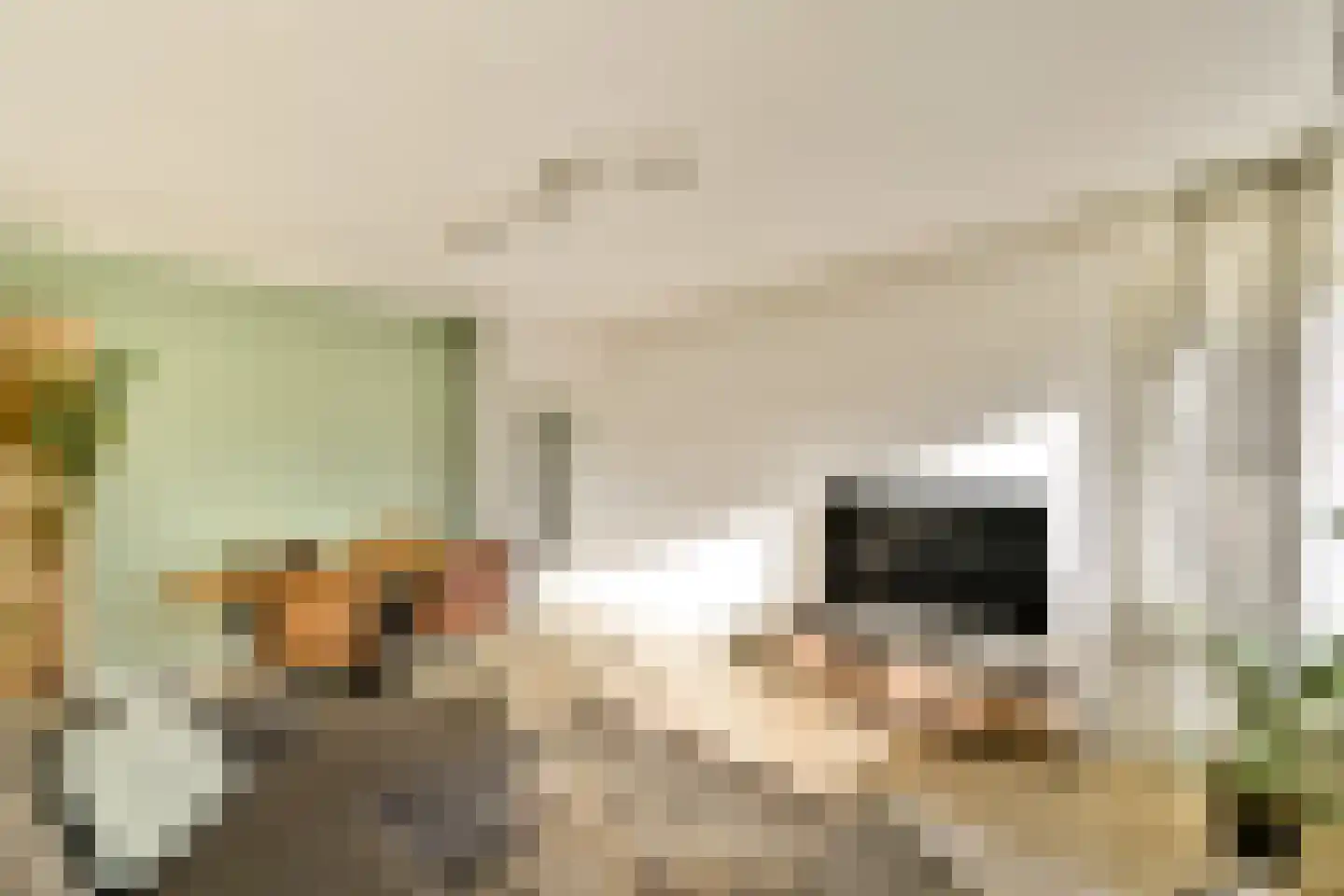Oldengaarde 151 Amsterdam thumbnail 5