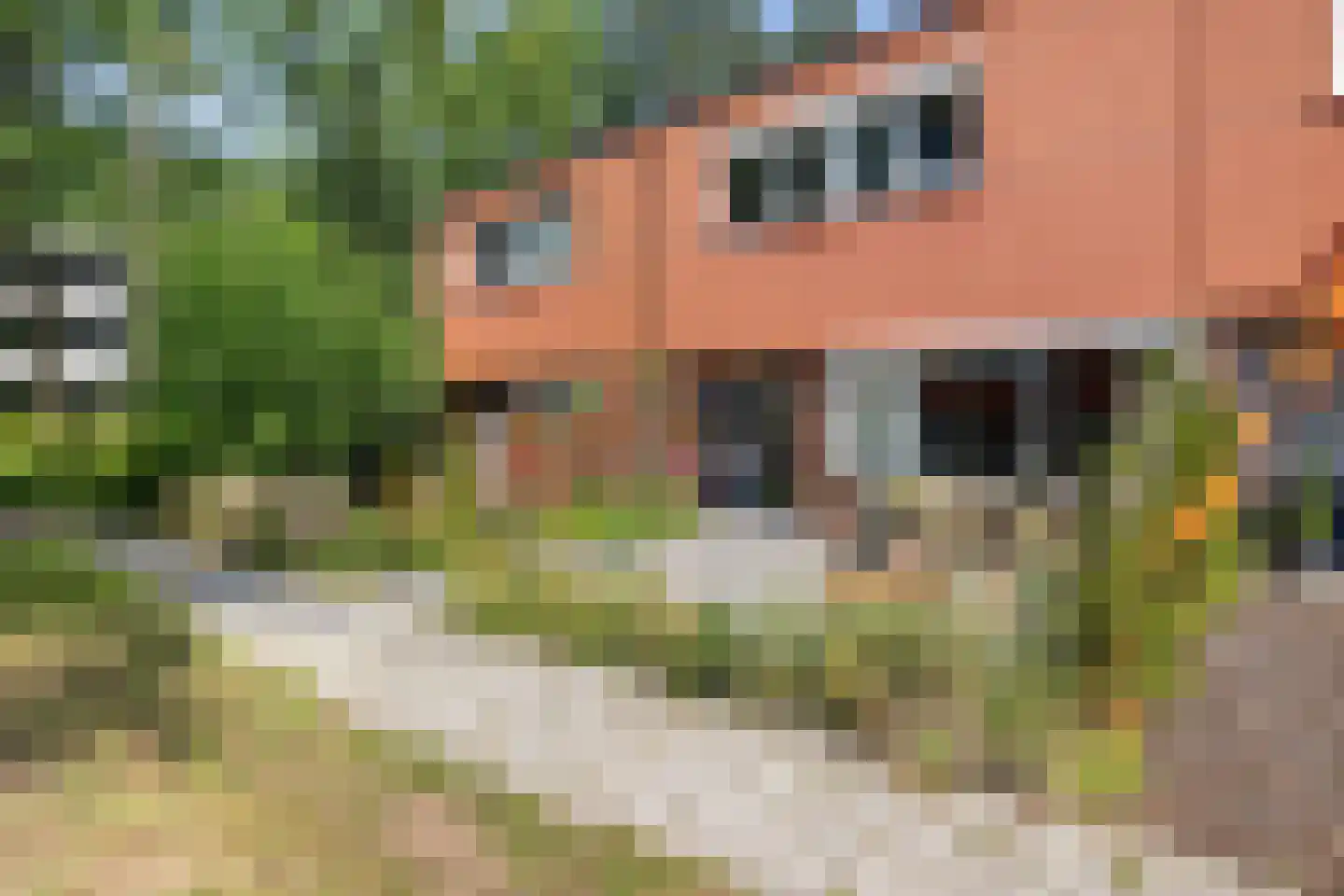 Oldengaarde 21 Emmen thumbnail 37