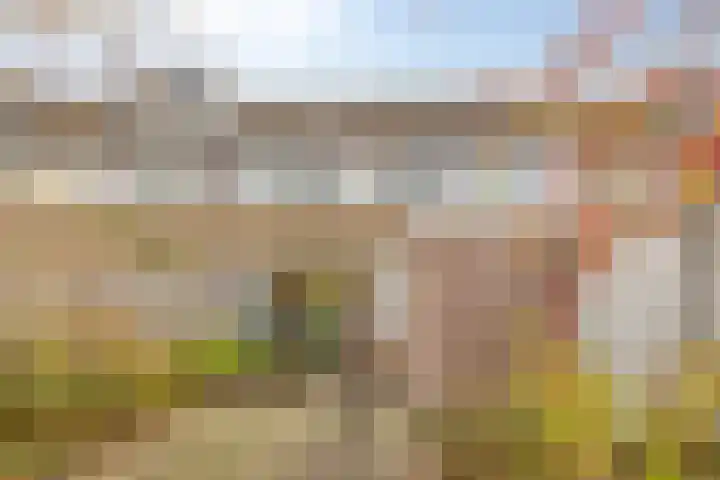 Oldengaarde 38 Eindhoven thumbnail 33