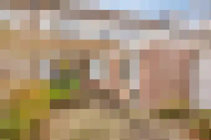 Oldengaarde 38 Eindhoven thumbnail 34
