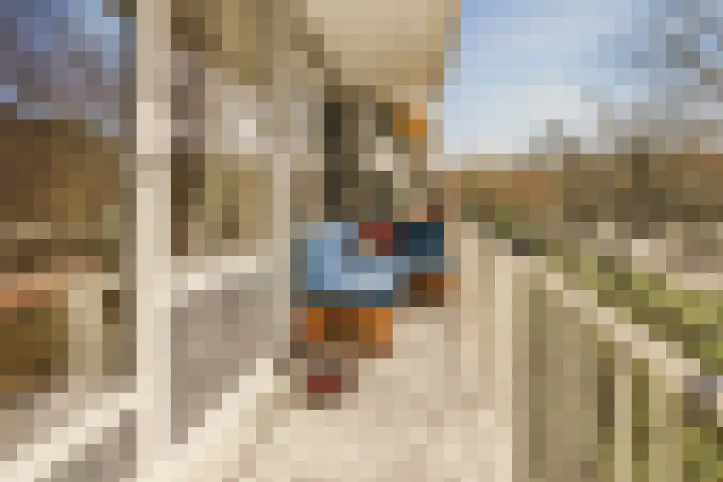 Oldengaarde 42 Amsterdam thumbnail 4