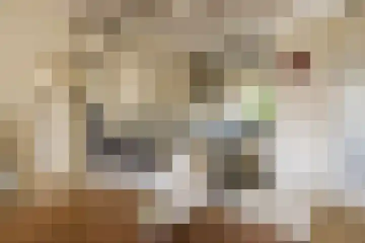Oldengaarde 45 Amsterdam thumbnail 4