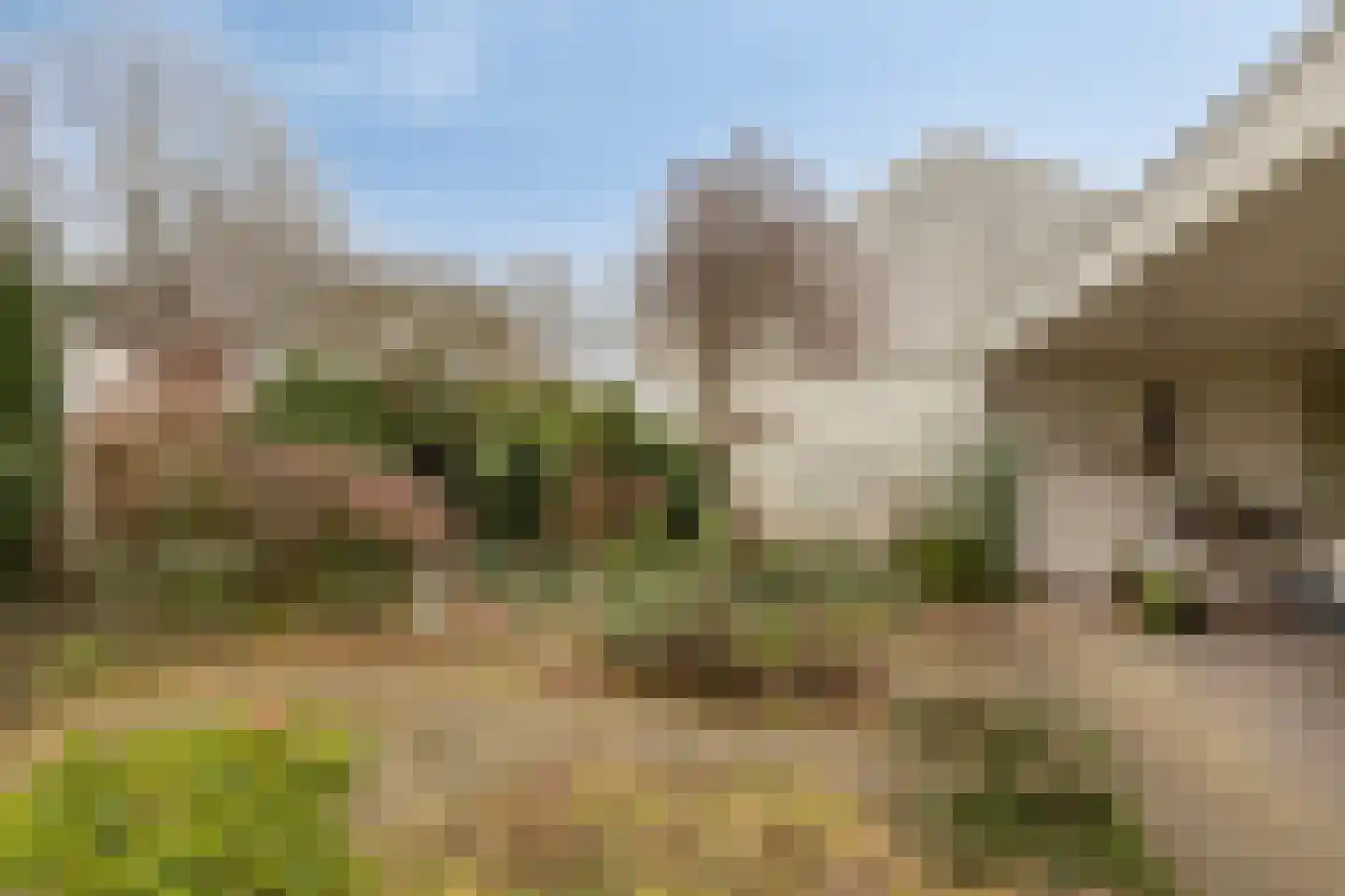 Oldengaarde 5 Eindhoven thumbnail 30
