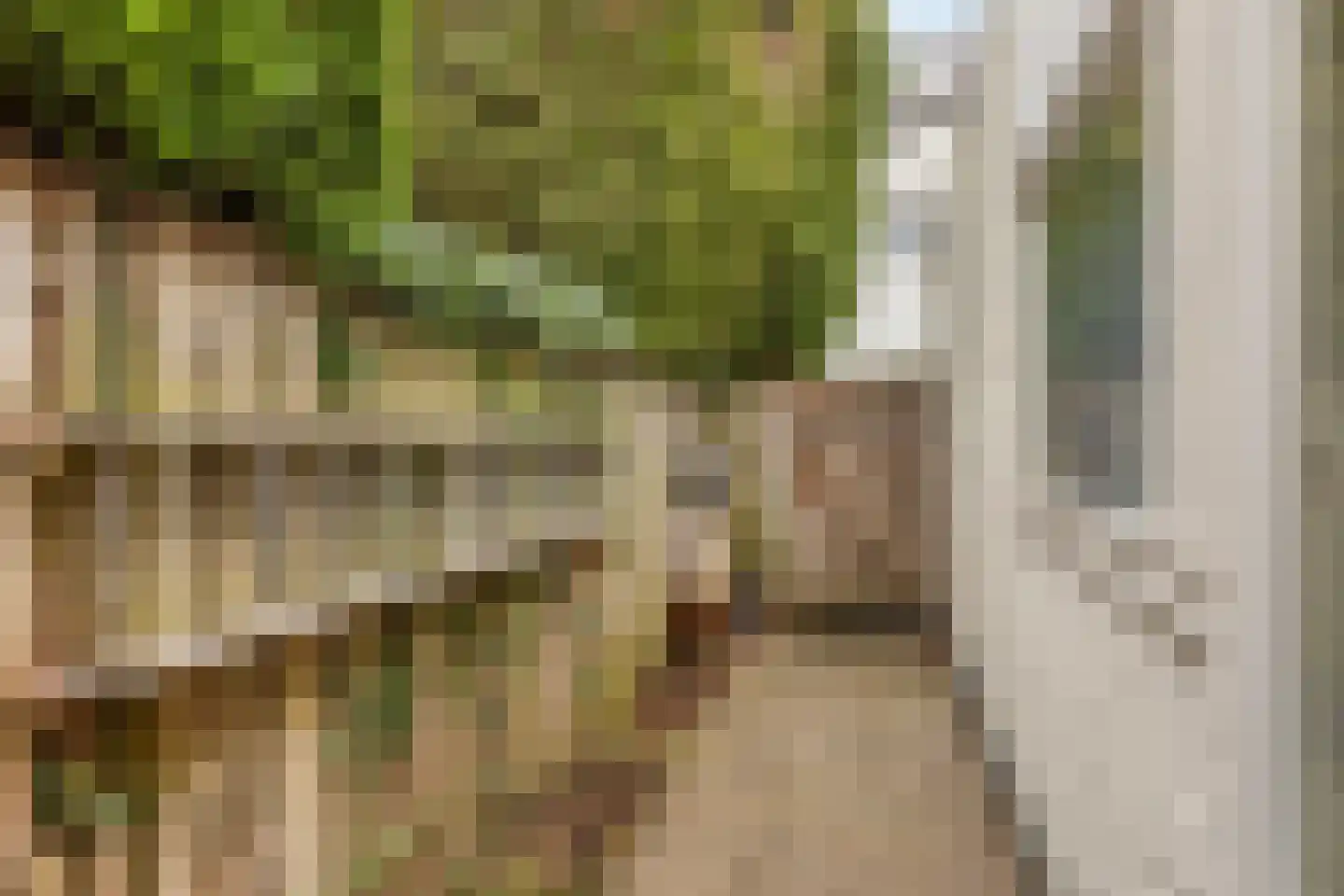 Oldengaarde 5 Eindhoven thumbnail 32