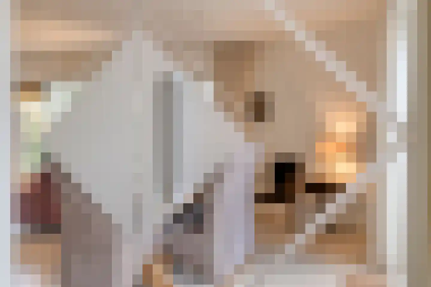 Oldengaarde 5 Eindhoven thumbnail 7