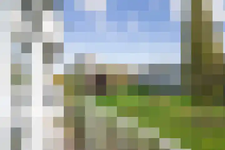 Oldengaarde 51 Amsterdam thumbnail 7