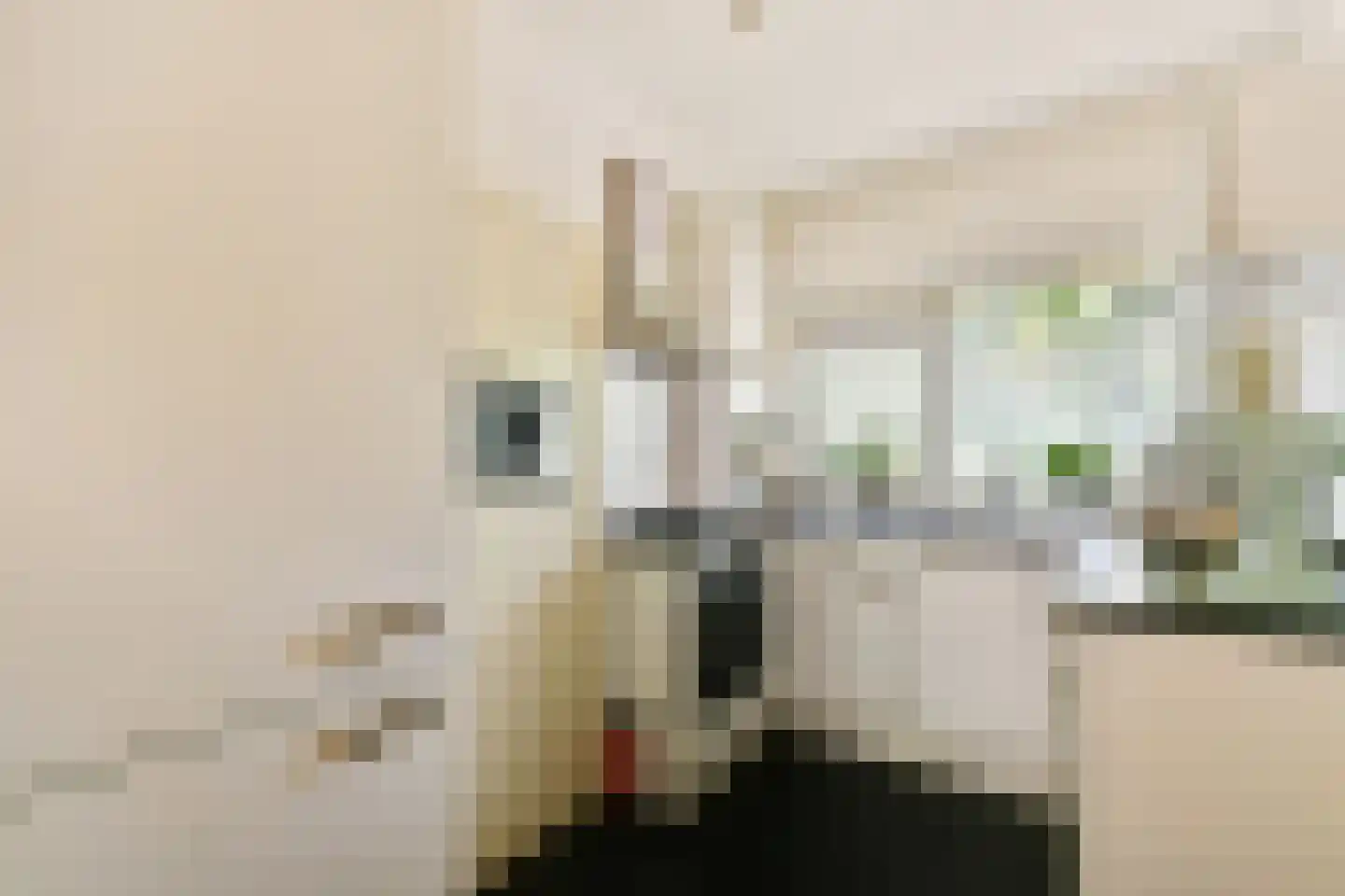 Oldengaarde 62 Amsterdam thumbnail 4