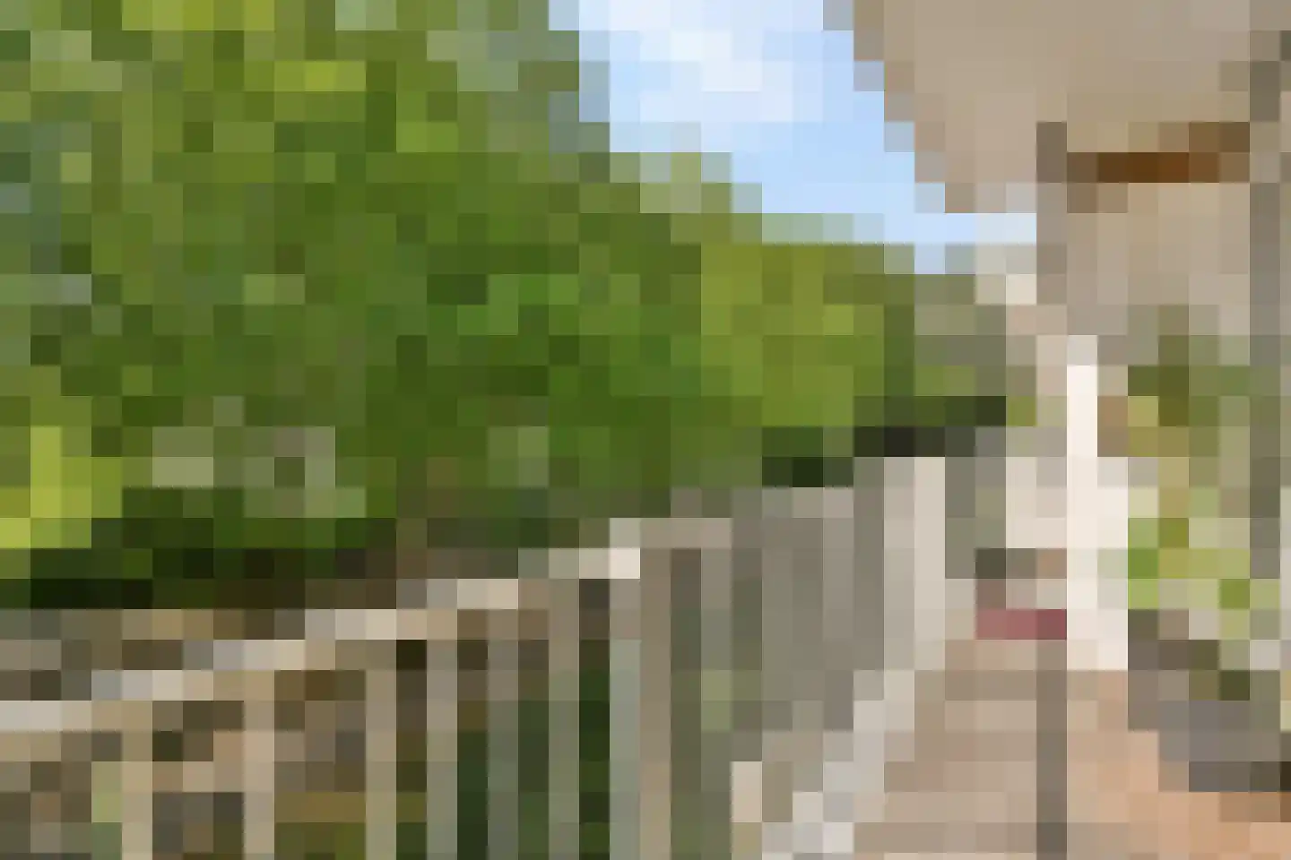 Oldengaarde 62 Amsterdam thumbnail 6