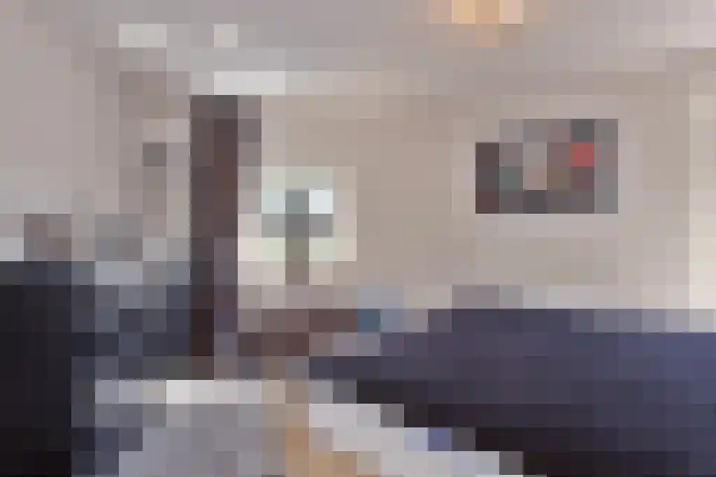 Oldengaarde 7 Eindhoven thumbnail 11