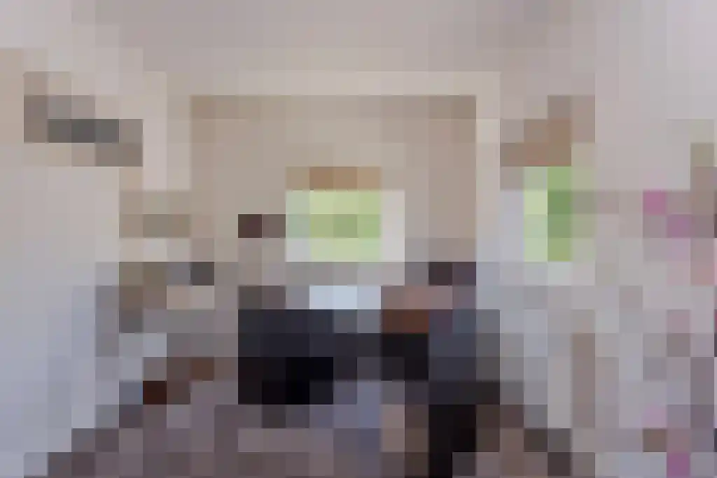 Oldengaarde 7 Eindhoven thumbnail 15