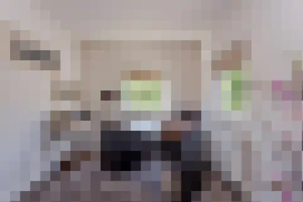 Oldengaarde 7 Eindhoven thumbnail 15