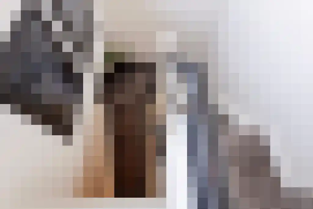 Oldengaarde 7 Eindhoven thumbnail 24