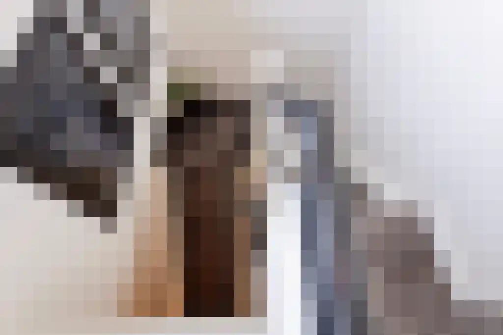 Oldengaarde 7 Eindhoven thumbnail 24