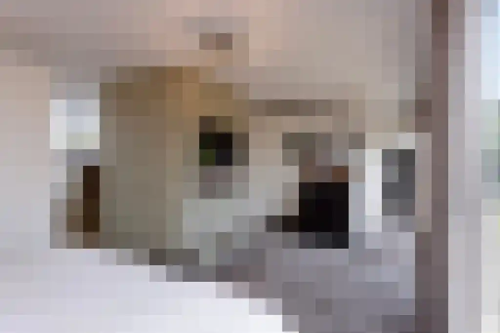 Oldengaarde 7 Eindhoven thumbnail 26