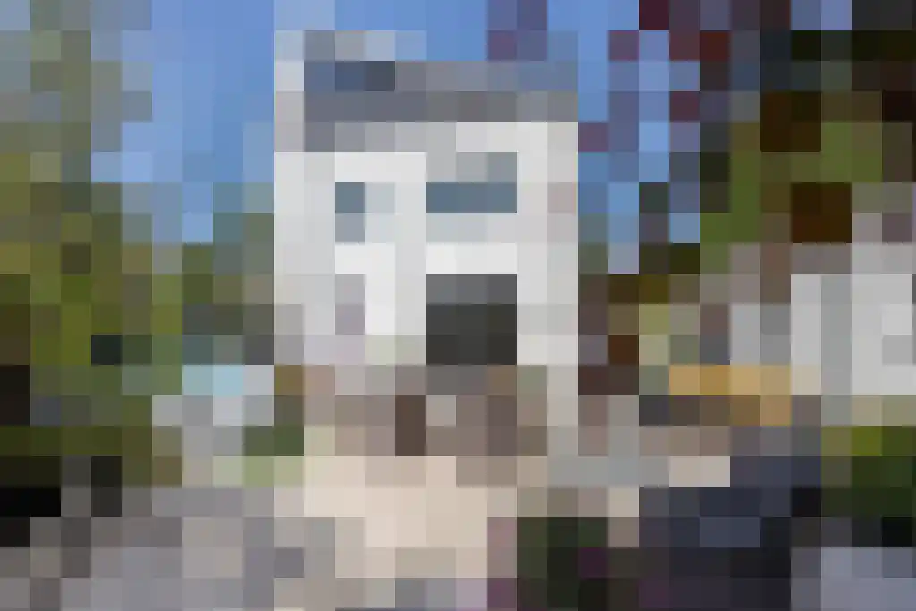Oldengaarde 7 Eindhoven thumbnail 36