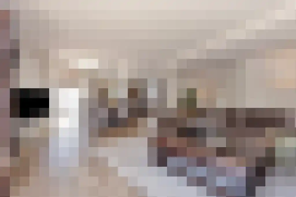 Oldengaarde 7 Eindhoven thumbnail 4