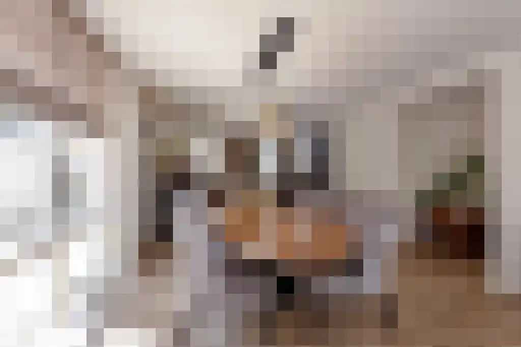 Oldengaarde 7 Eindhoven thumbnail 6