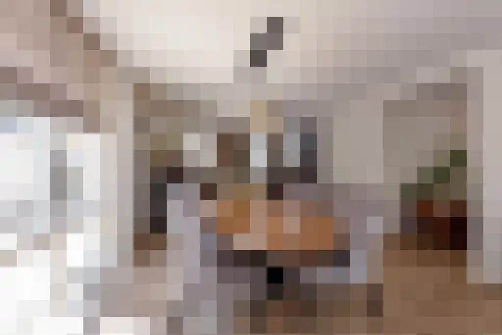 Oldengaarde 7 Eindhoven thumbnail 6