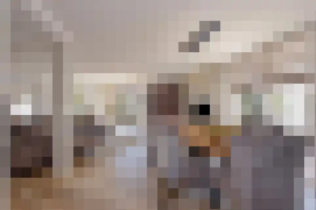Oldengaarde 7 Eindhoven thumbnail 7