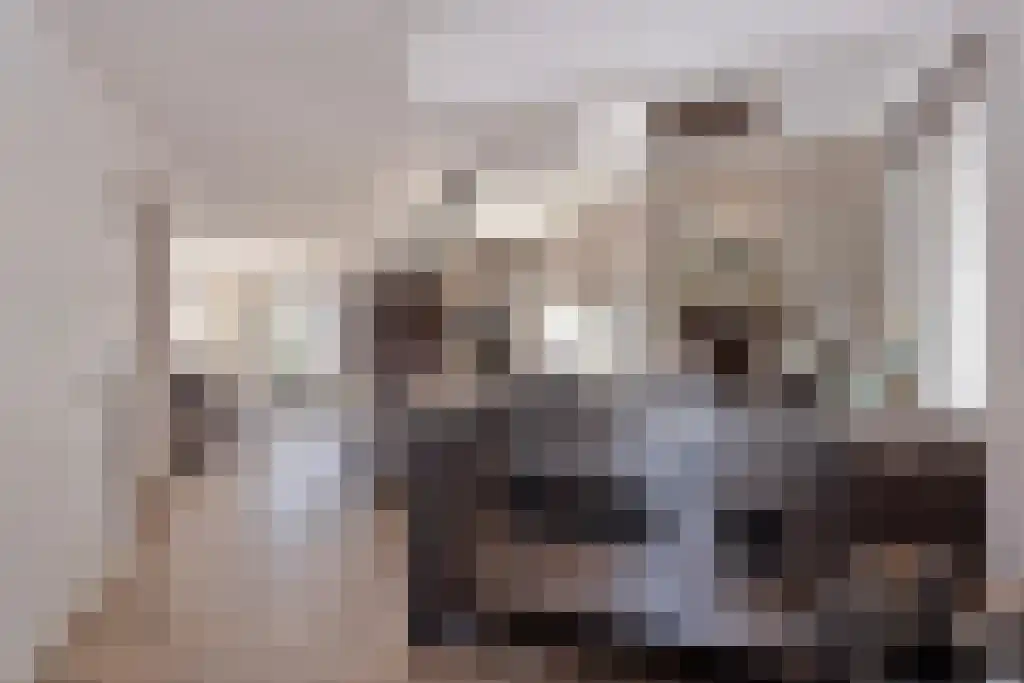 Oldengaarde 7 Eindhoven thumbnail 8