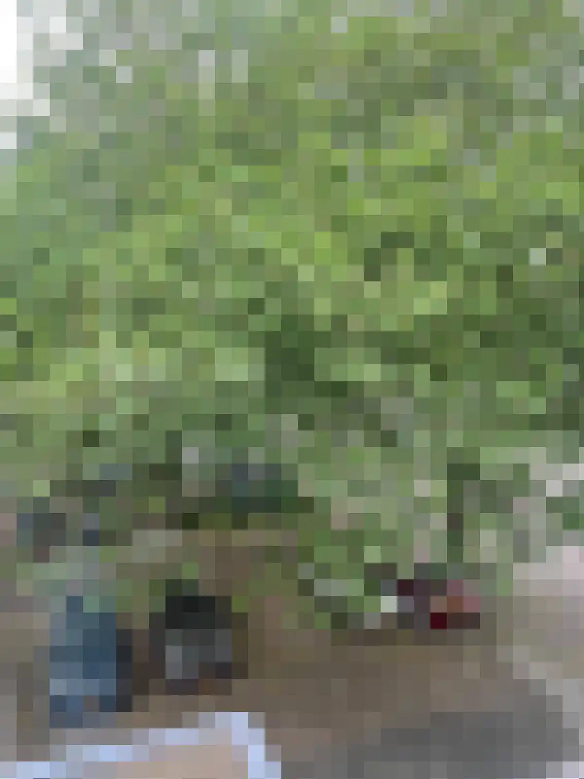 Oldengaarde 97 Amsterdam thumbnail 27