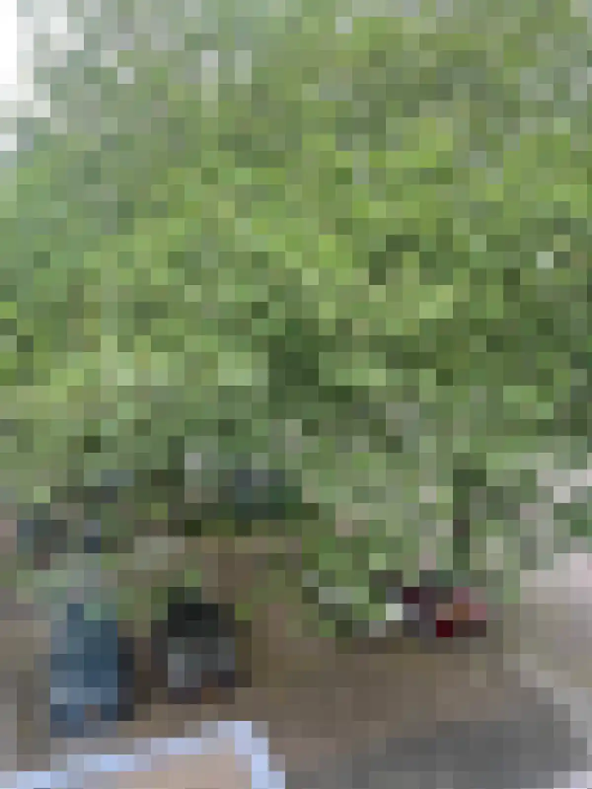 Oldengaarde 97 Amsterdam thumbnail 28