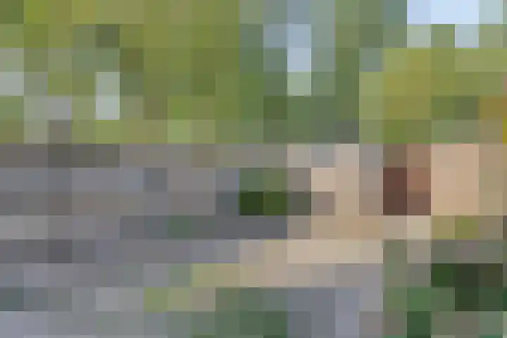 Oldengaardestraat 1 Breda thumbnail 21