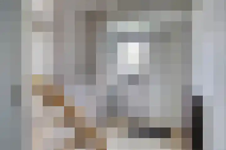 Oldengaardestraat 1 Breda thumbnail 5