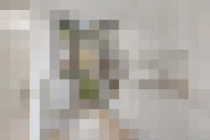 Oldengaardestraat 5 Breda thumbnail 8