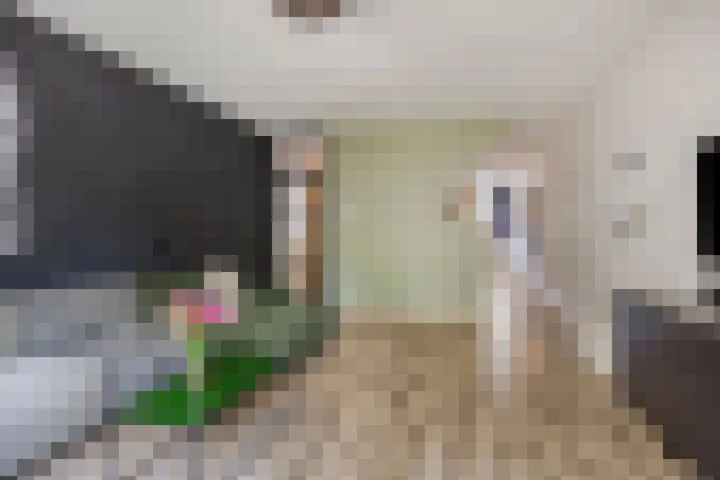 Oldengaerde 13 Roden thumbnail 11
