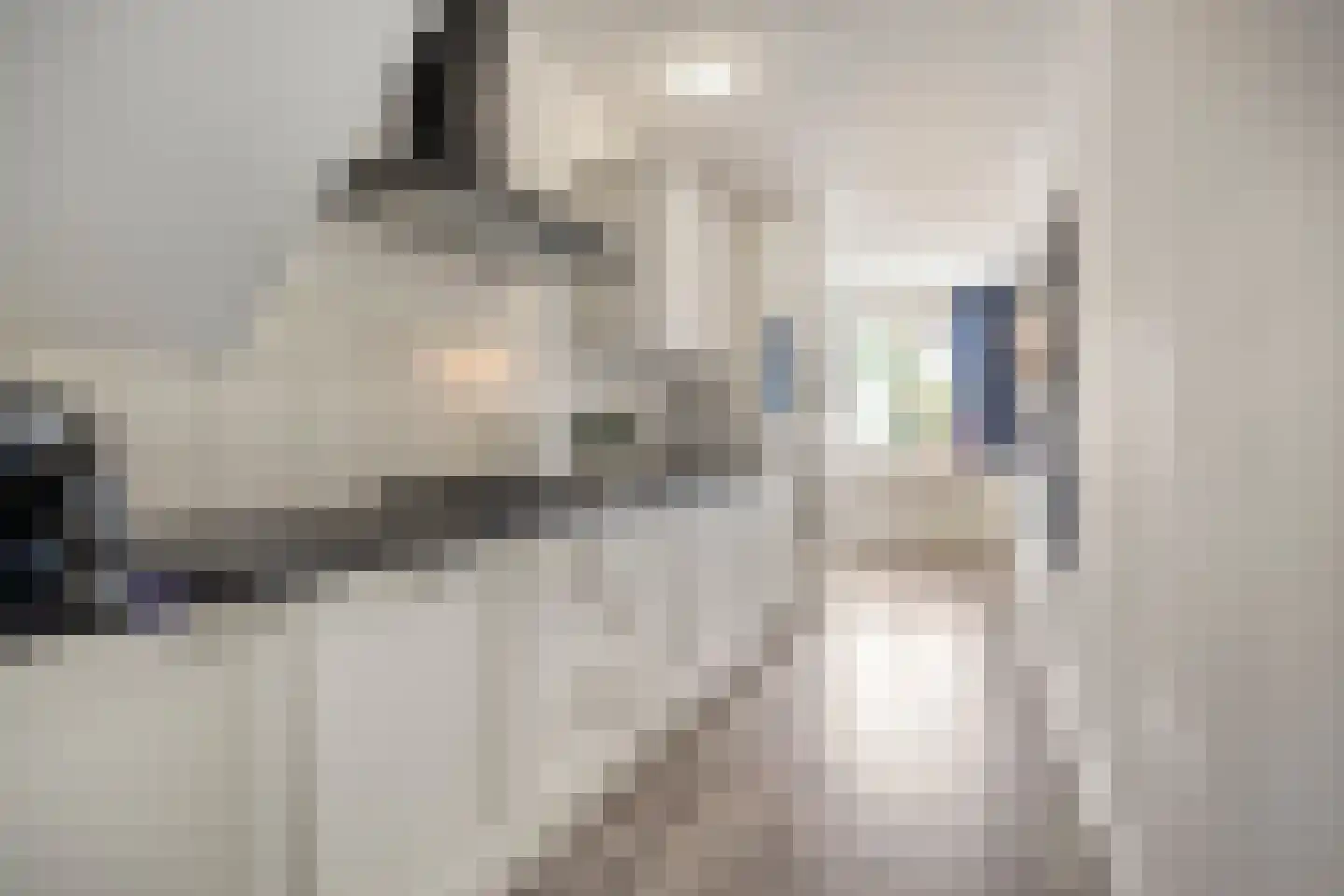 Oldengaerde 13 Roden thumbnail 12