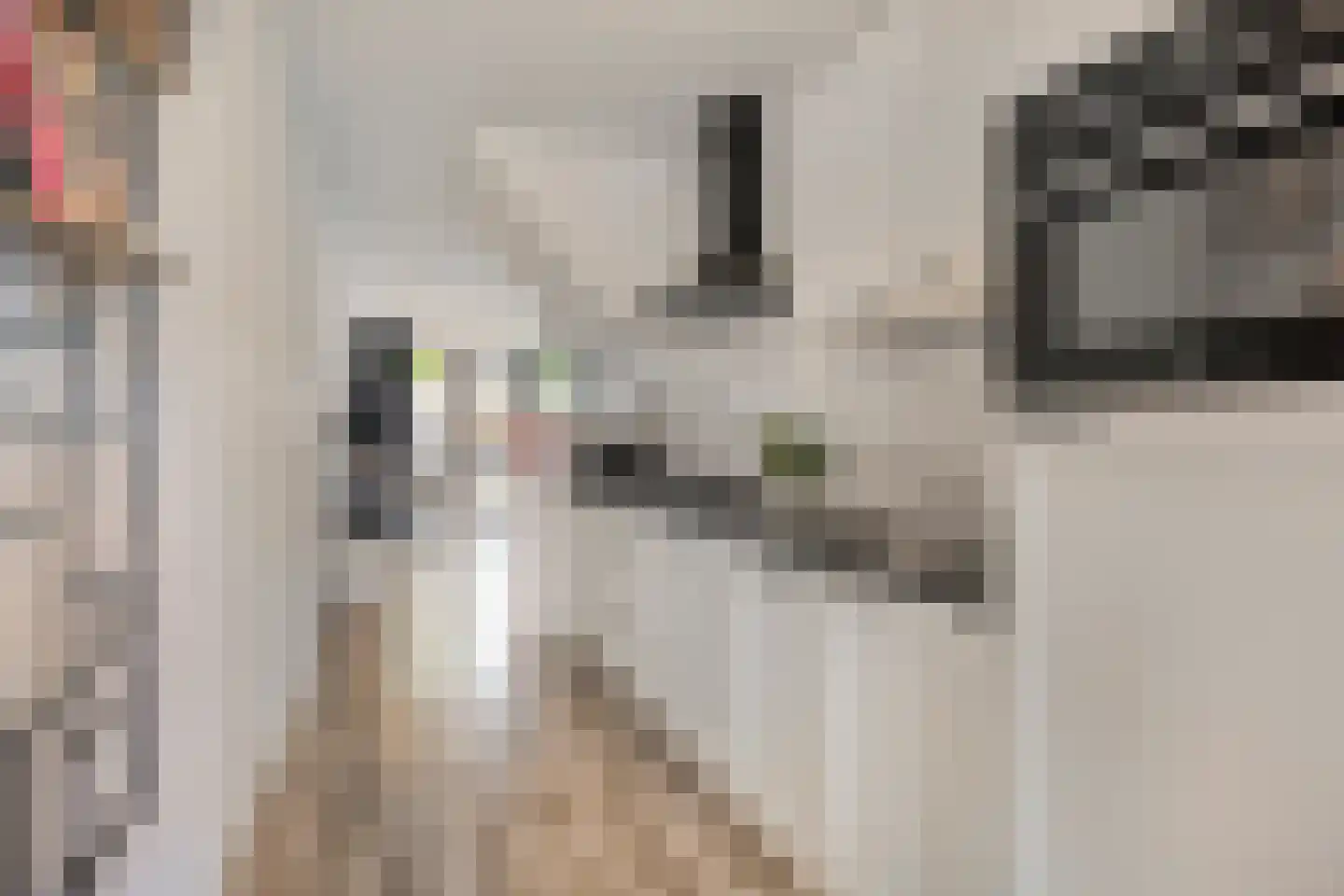 Oldengaerde 13 Roden thumbnail 13