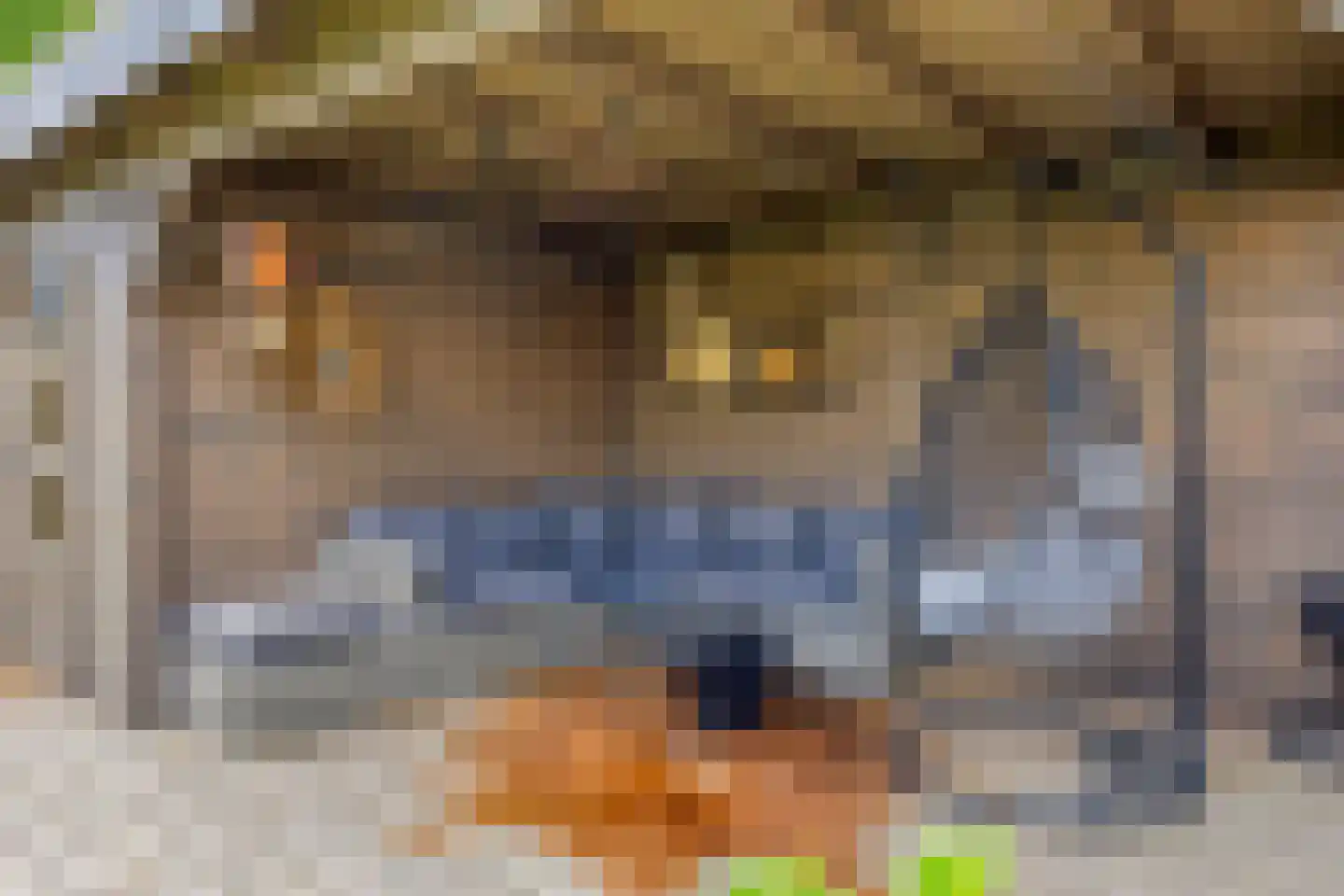 Oldengaerde 13 Roden thumbnail 36