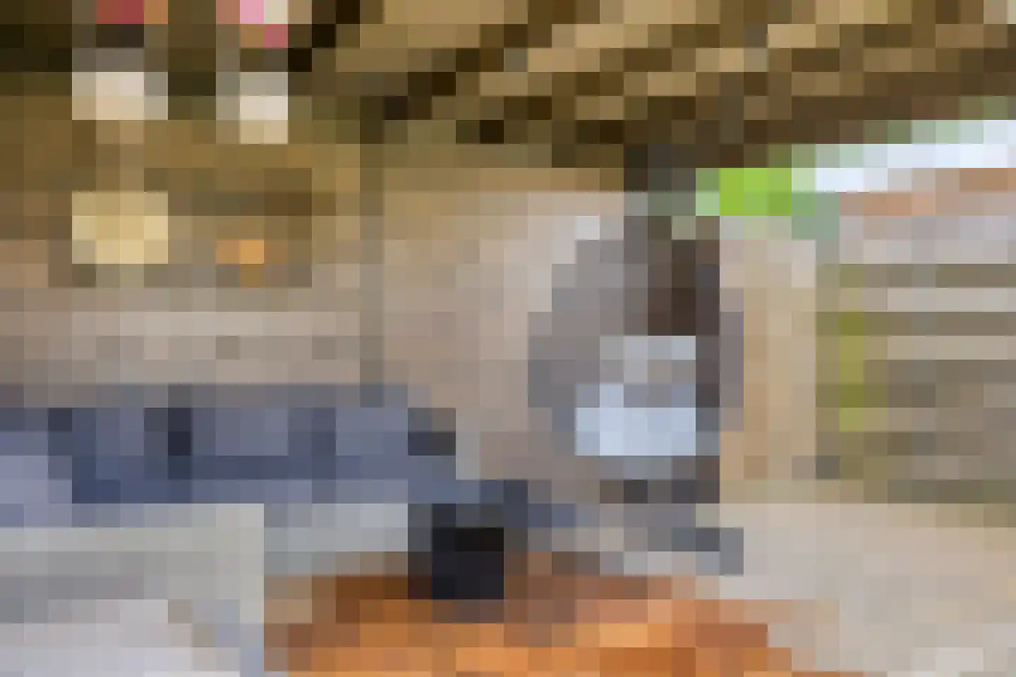 Oldengaerde 13 Roden thumbnail 37