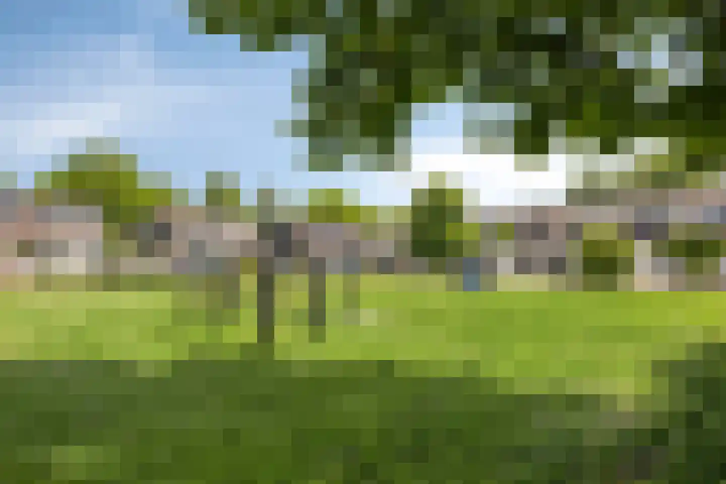 Oldengaerde 13 Roden thumbnail 44