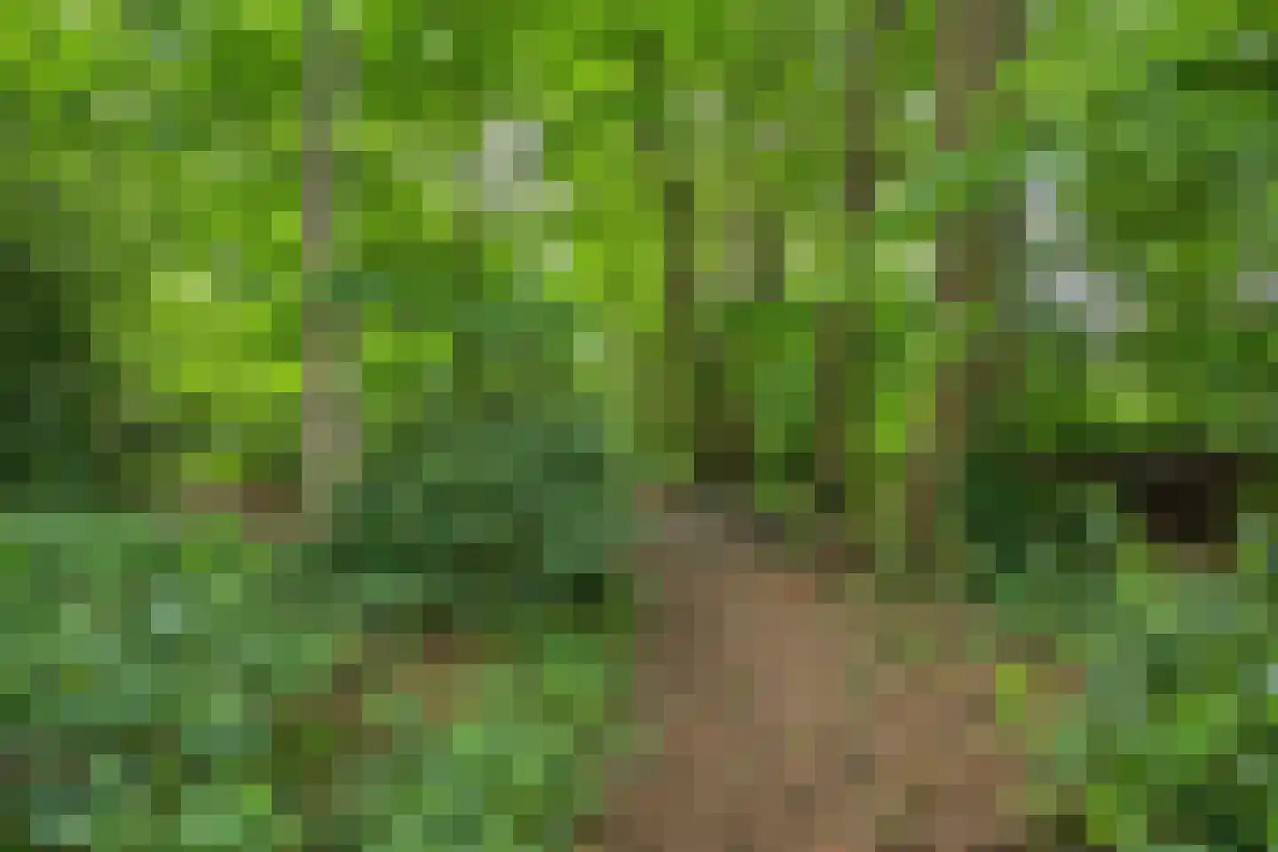 Oldengaerde 13 Roden thumbnail 45