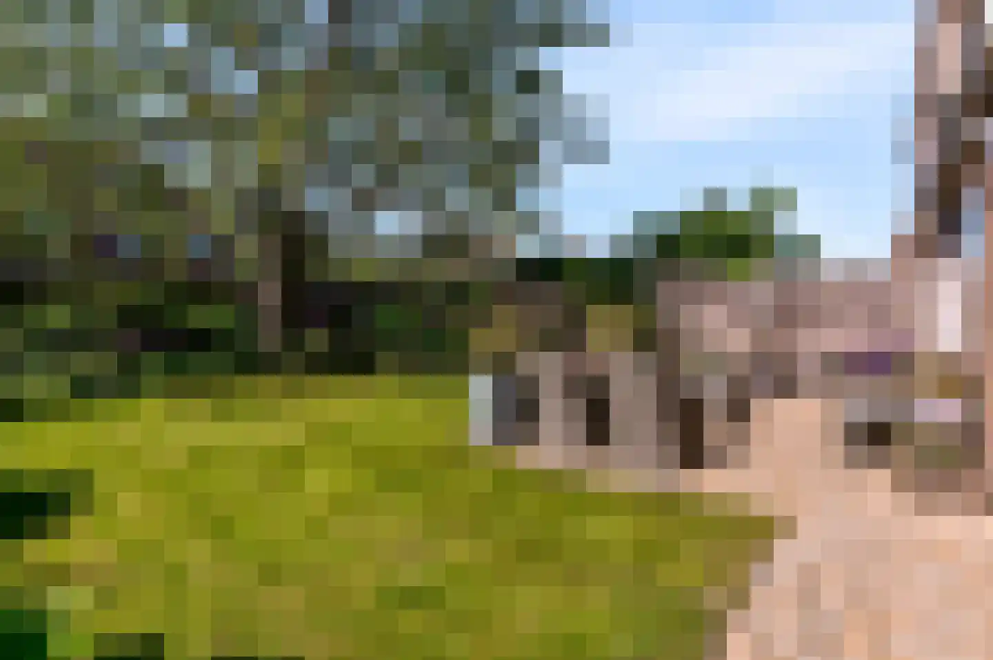 Oldengaerde 24 Lelystad thumbnail 44