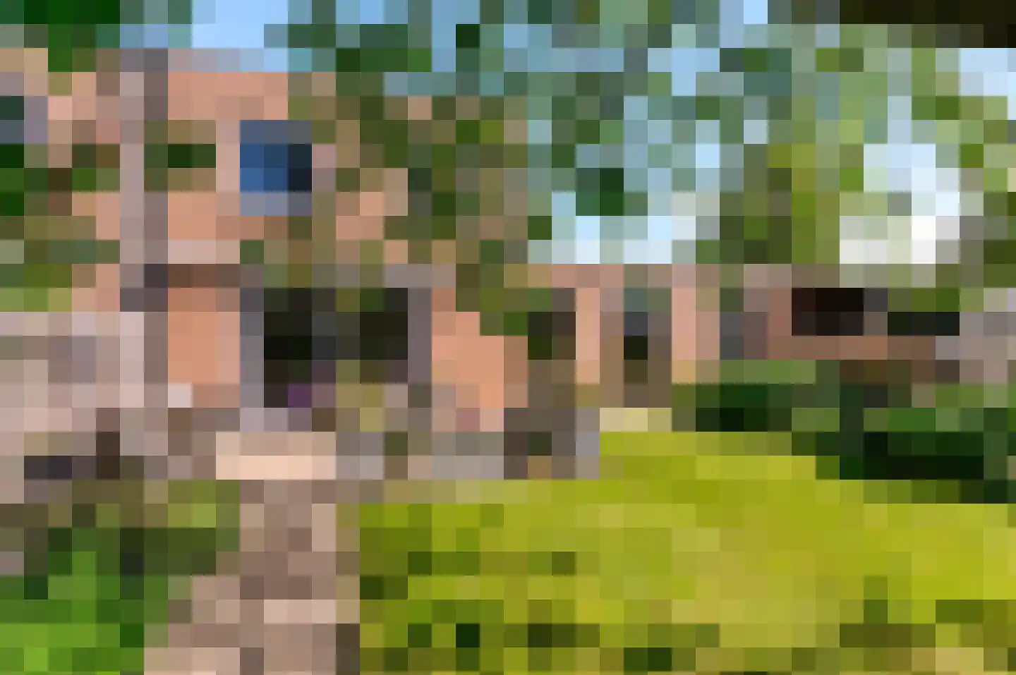 Oldengaerde 24 Lelystad thumbnail 48