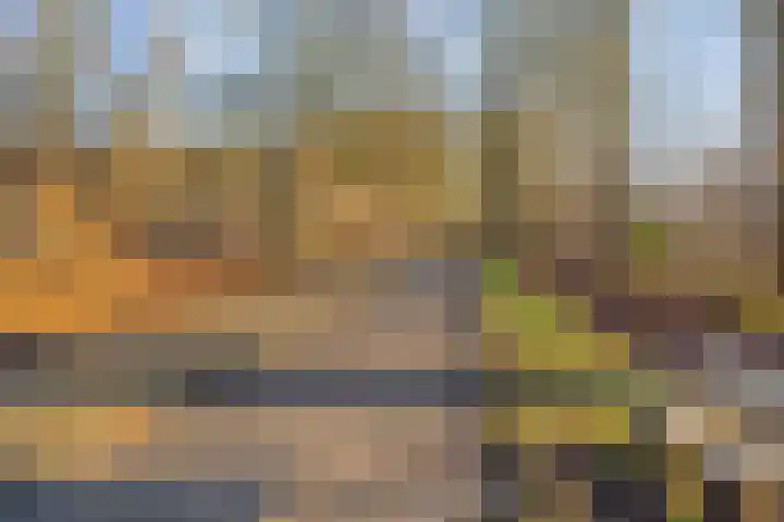 Oldengaerde 26 Roden thumbnail 39