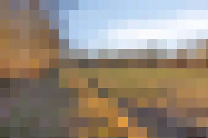 Oldengaerde 26 Roden thumbnail 40