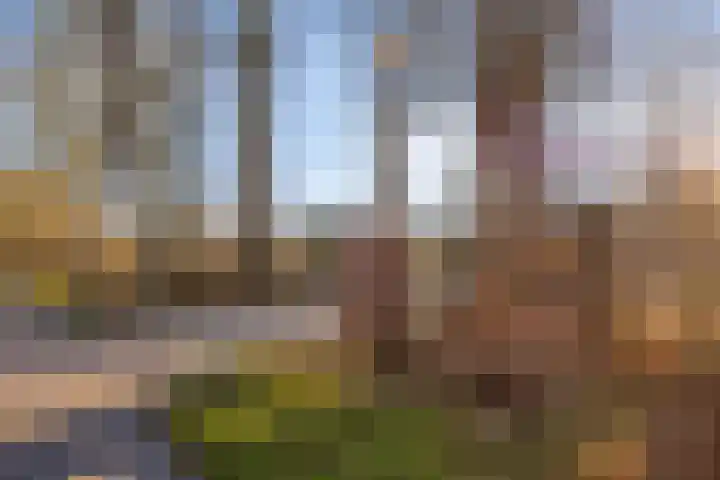 Oldengaerde 26 Roden thumbnail 41