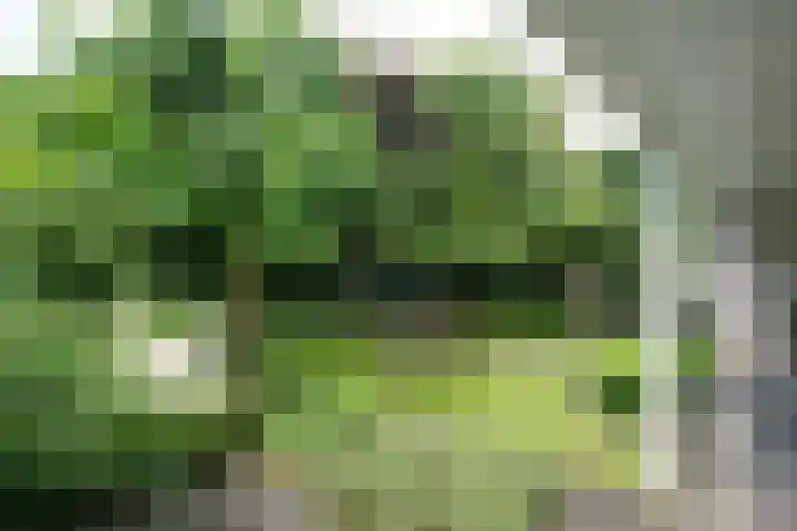 Oldengaerde 34 Almelo thumbnail 4