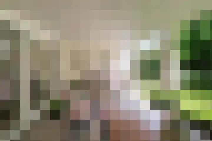 Oldengaerde 34 Almelo thumbnail 6